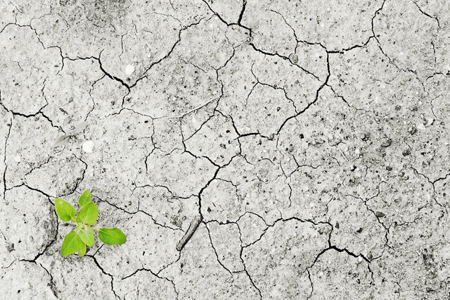 Soil Pollution Management